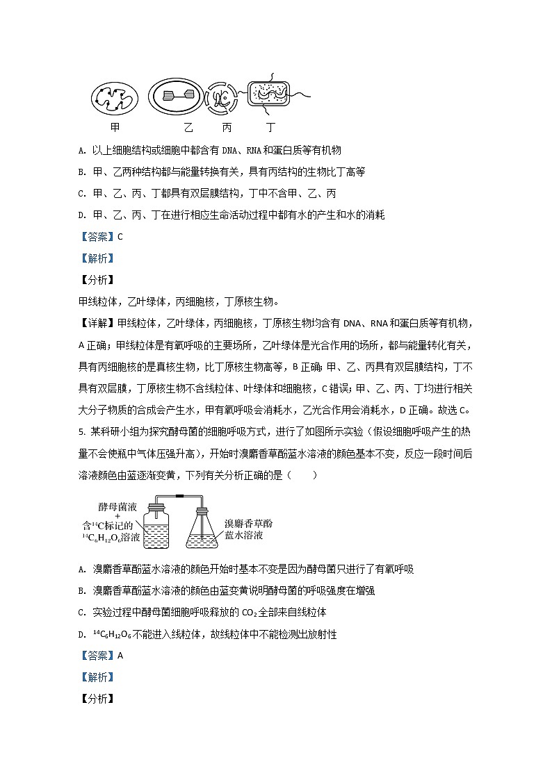 2021【KS5U解析】乌兰察布集宁一中（西校区）高三上学期期中考试生物试题含解析第3页