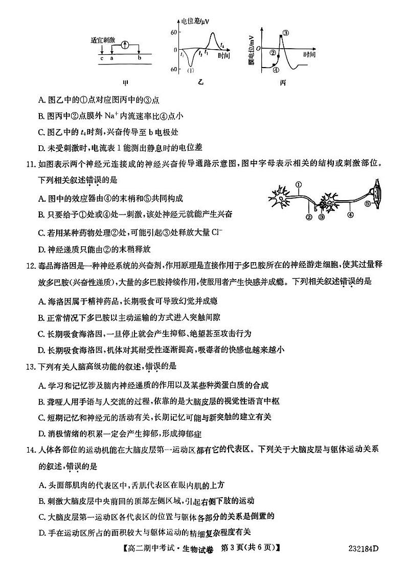湖北省宜昌市协作体2022-2023学年高二上学期期中考试生物试题第3页