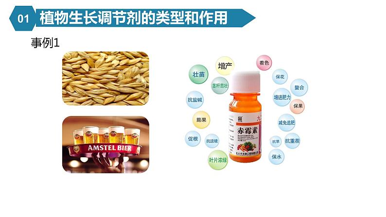 5.3植物生长调节剂的应用第5页