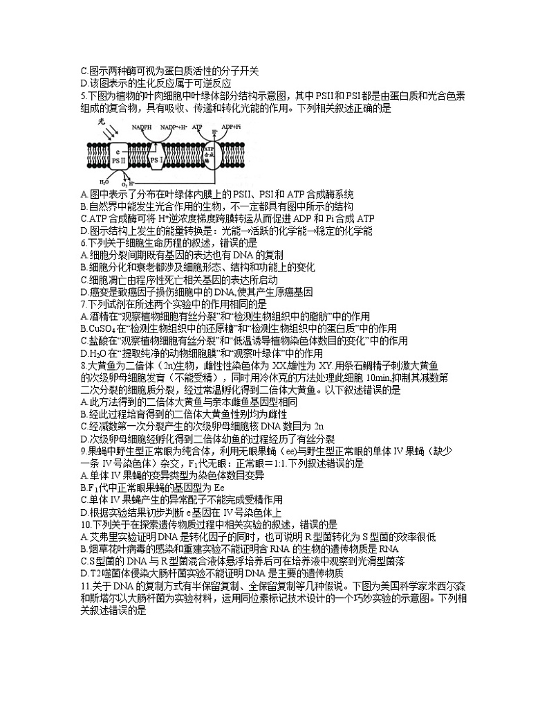 2022扬州高三上学期期中考试生物试题含答案第2页