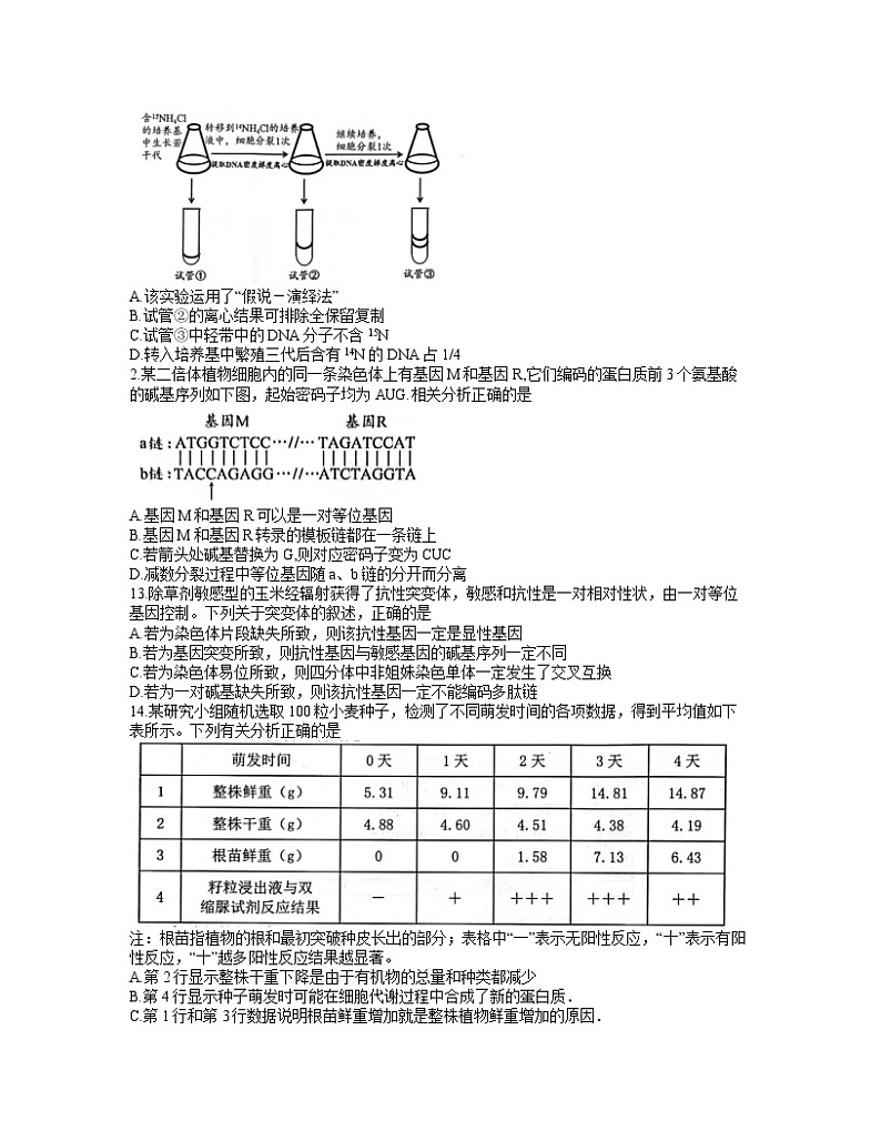 2022扬州高三上学期期中考试生物试题含答案第3页