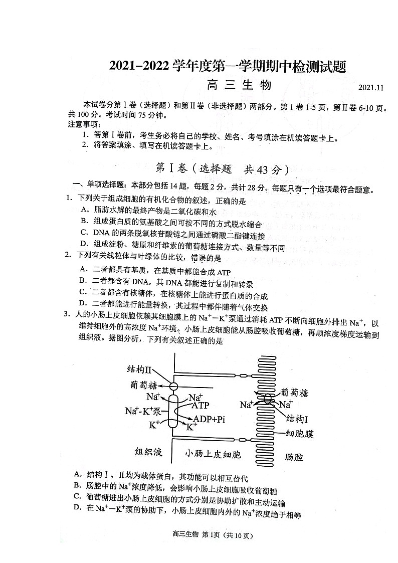 2022扬州高三上学期期中考试生物试题扫描版含答案第2页