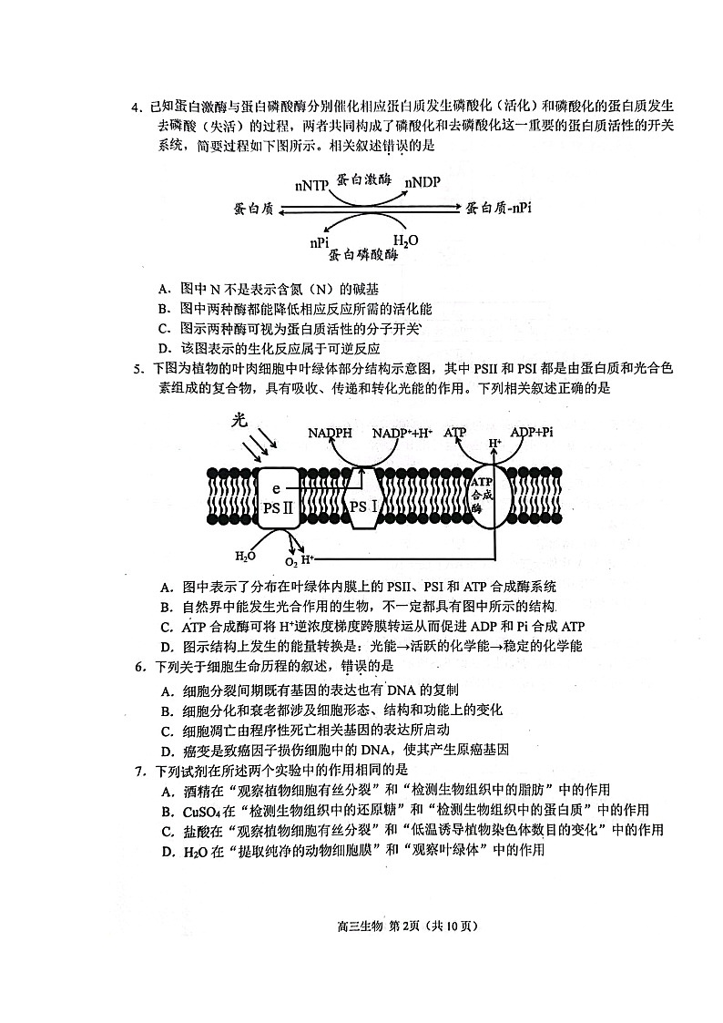 2022扬州高三上学期期中考试生物试题扫描版含答案第3页