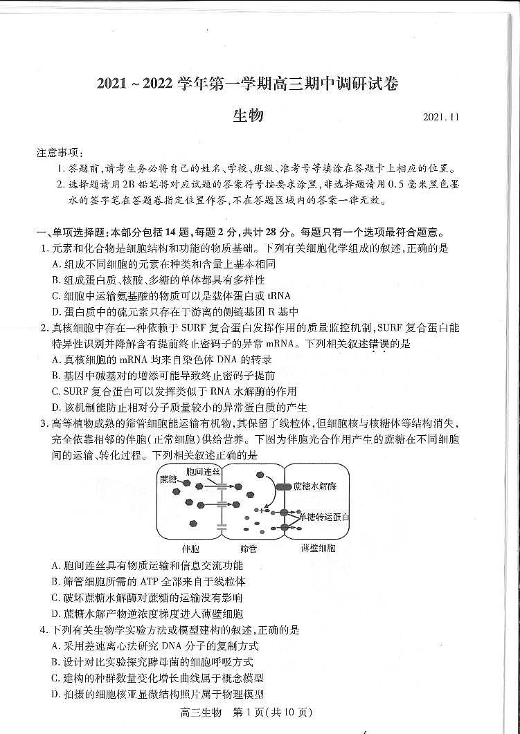 2022苏州高三上学期期中调研生物试题含答案03