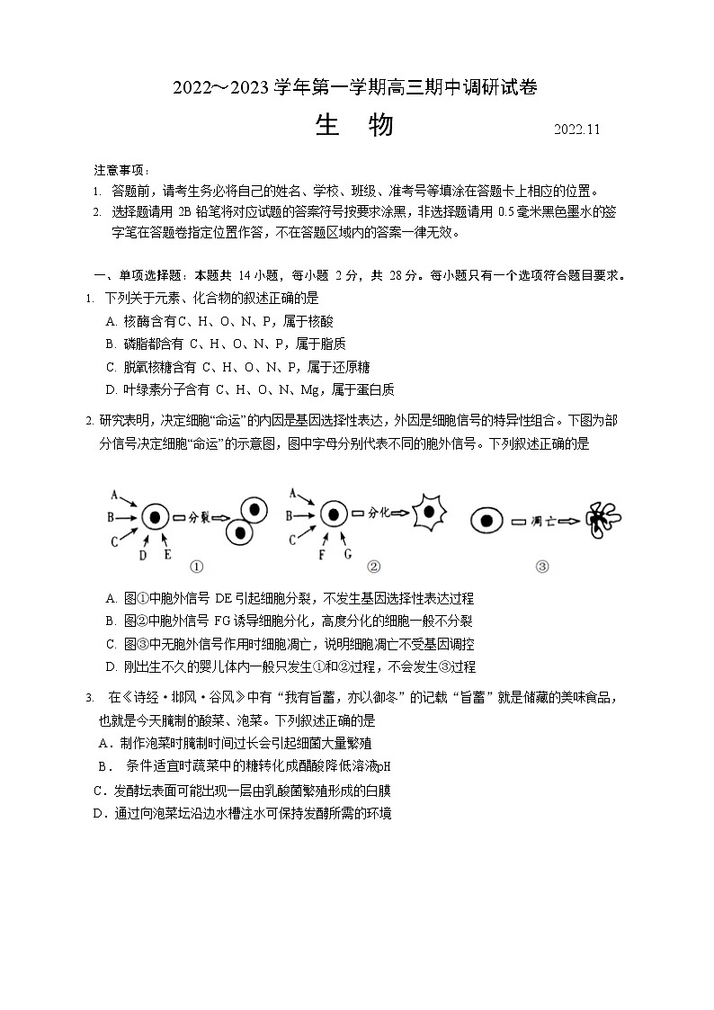 2023苏州高三上学期期中考试生物试卷Word含答案第1页