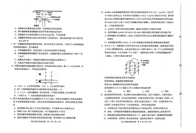 2023天津河西区高三上学期期中质量调查生物试卷02