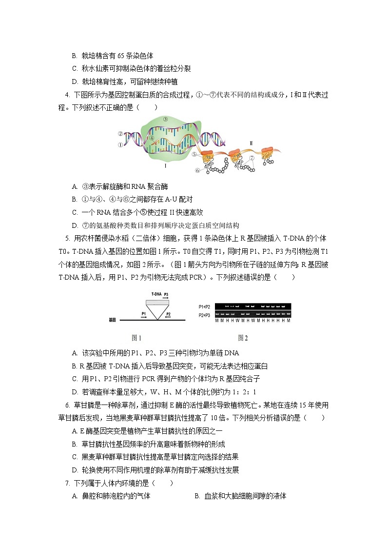 2023北京一零一中学高三上学期10月月考生物试卷含答案02