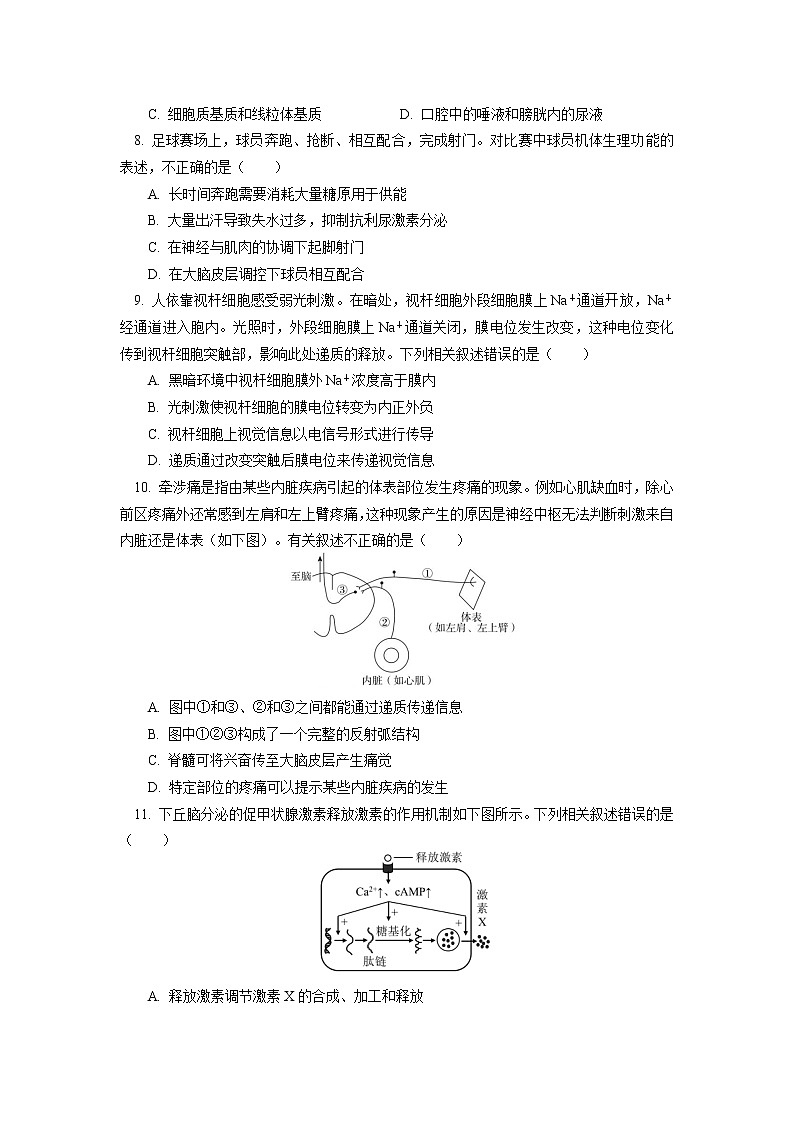 2023北京一零一中学高三上学期10月月考生物试卷含答案03