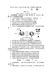 2023常州高三上学期期中考试生物试题含答案