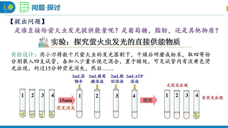 5.2 细胞的能源“货币”ATP   课件  2022——2023学年高一上学期生物人教版必修1第4页