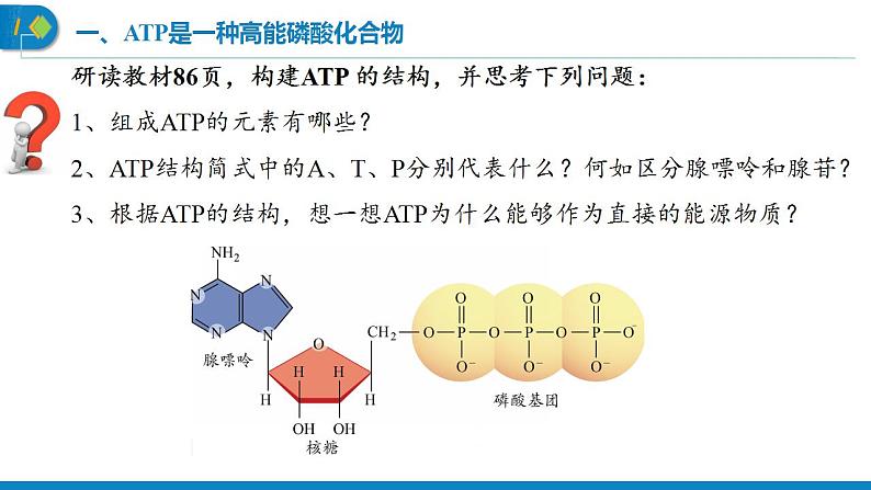 5.2 细胞的能源“货币”ATP   课件  2022——2023学年高一上学期生物人教版必修1第8页