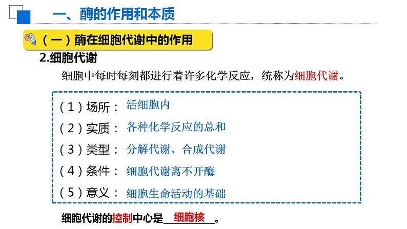 5.1降低化学反应活化能的酶课件2022-2023学年高一上学期生物人教版必修1第4页