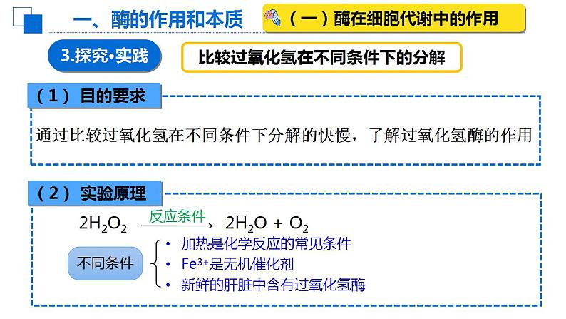 5.1降低化学反应活化能的酶课件2022-2023学年高一上学期生物人教版必修1第5页