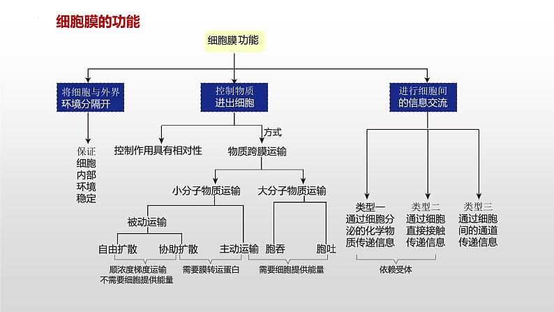 2021届高三生物一轮复习课件：细胞膜的结构和功能03