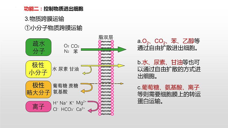 2021届高三生物一轮复习课件：细胞膜的结构和功能07