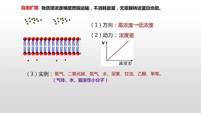 2021届高三生物一轮复习课件：细胞膜的结构和功能08