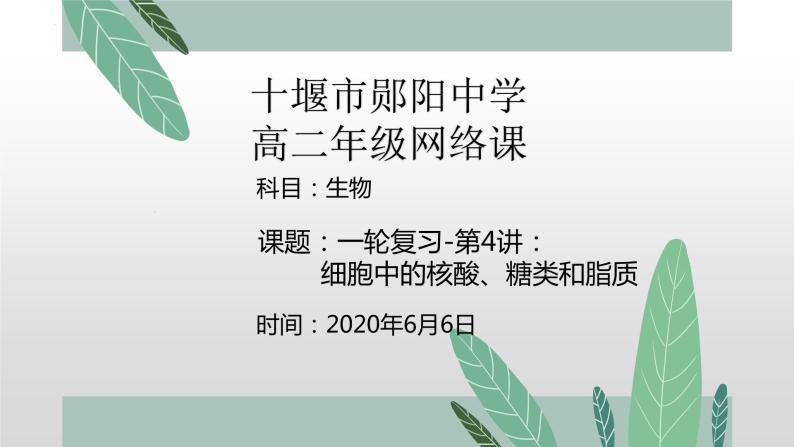 2021届高三生物一轮复习课件：细胞中的核酸、糖类和脂质01