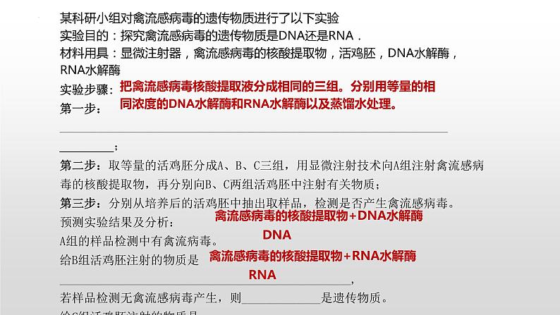 2021届高三生物一轮复习课件：细胞中的核酸、糖类和脂质第7页