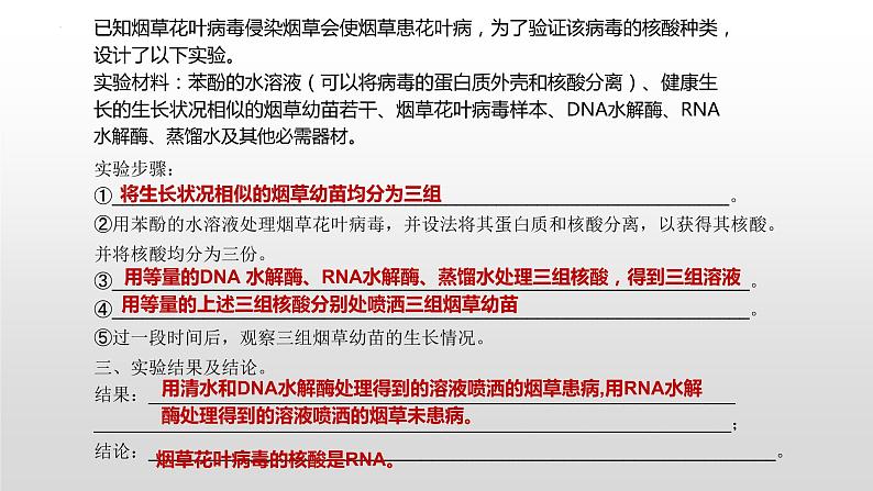 2021届高三生物一轮复习课件：细胞中的核酸、糖类和脂质第8页