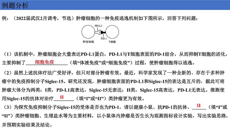 2022届高三生物二轮复习课件：实验设计 的一般步骤第2页