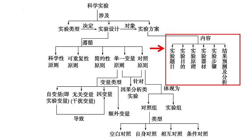 2022届高三生物二轮复习课件：实验设计第3页