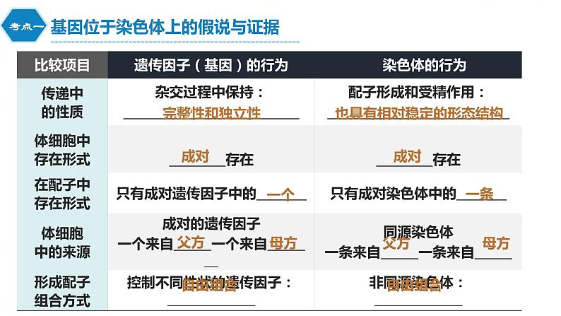 2022届高三生物一轮复习课件：伴性遗传与人类遗传病第5页