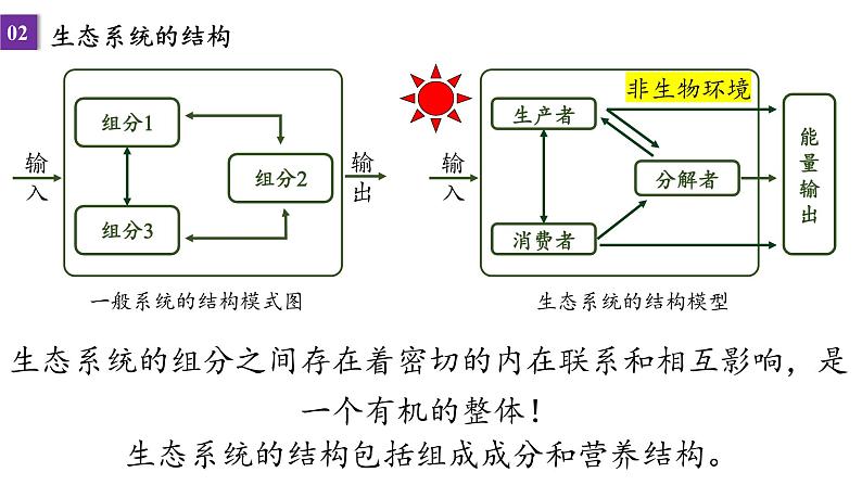 2022届高三生物一轮复习课件：第40课时 生态系统的结构与能量流动第3页