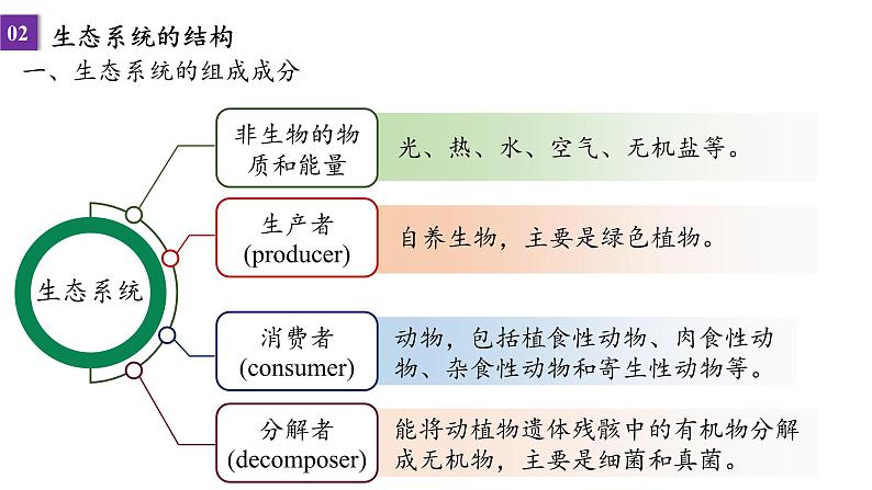 2022届高三生物一轮复习课件：第40课时 生态系统的结构与能量流动第4页