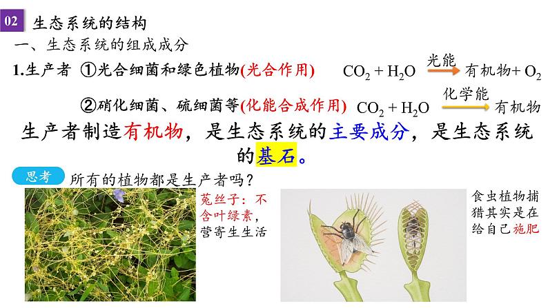 2022届高三生物一轮复习课件：第40课时 生态系统的结构与能量流动第5页