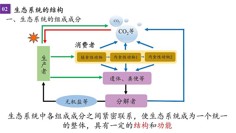 2022届高三生物一轮复习课件：第40课时 生态系统的结构与能量流动第8页