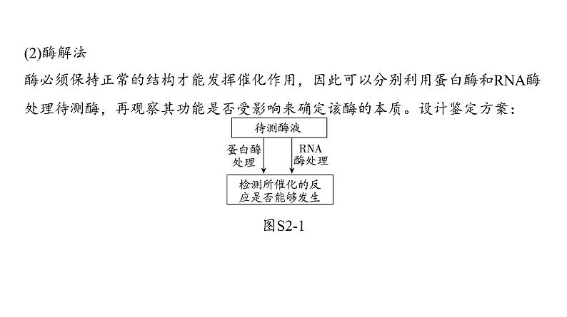 2022届高三生物一轮复习课件：关于酶的实验探究与曲线分析03