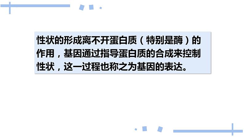 2022届高三生物一轮复习课件：基因指导蛋白质的合成第2页