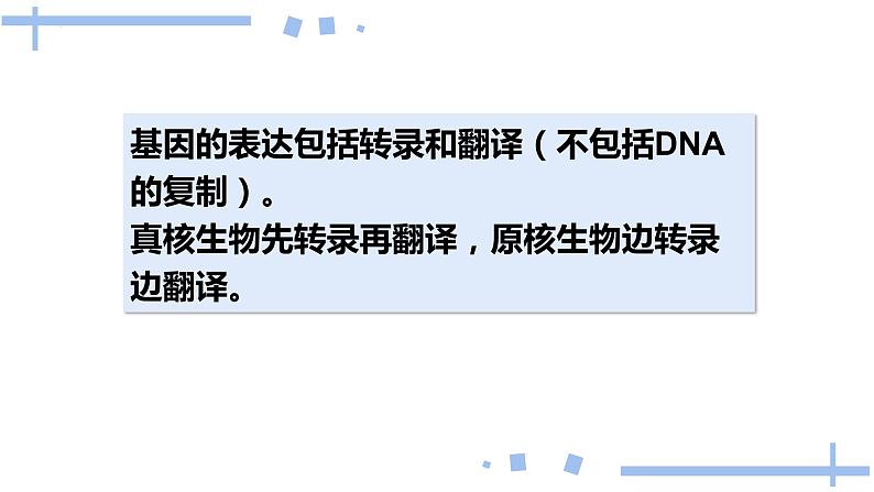 2022届高三生物一轮复习课件：基因指导蛋白质的合成第3页