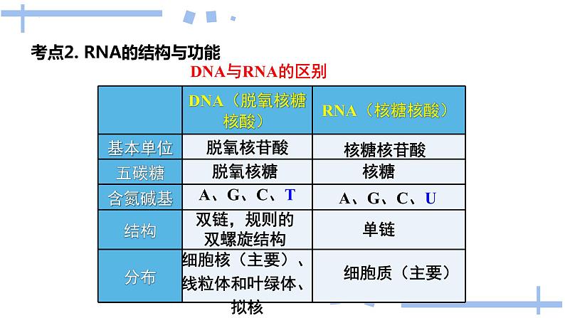 2022届高三生物一轮复习课件：基因指导蛋白质的合成第7页