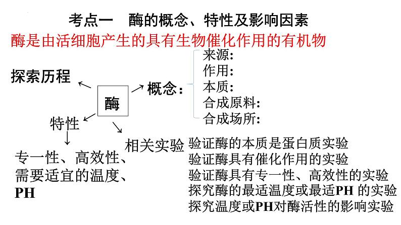 2022届高三生物一轮复习课件：降低化学反应活化能的酶第3页