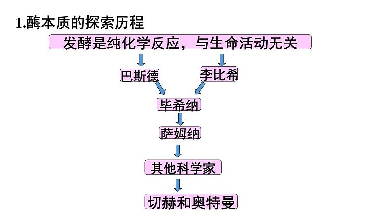 2022届高三生物一轮复习课件：降低化学反应活化能的酶第4页