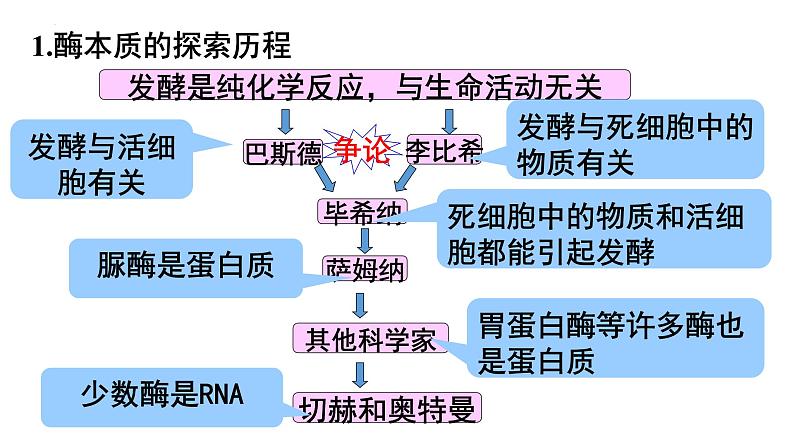 2022届高三生物一轮复习课件：降低化学反应活化能的酶第5页