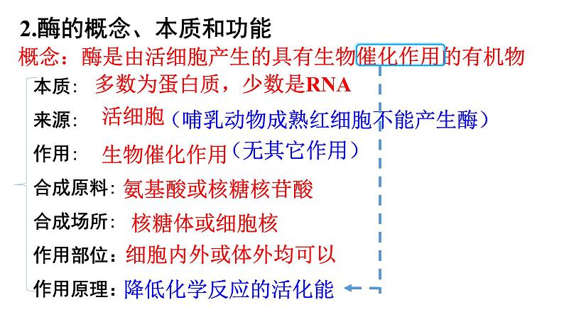 2022届高三生物一轮复习课件：降低化学反应活化能的酶第6页