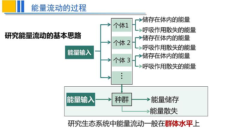 2022届高三生物一轮复习课件：生态系统的能量流动第5页