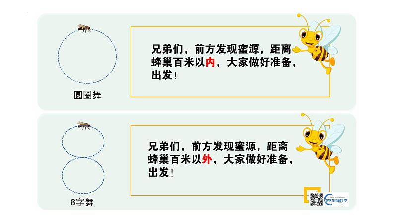 2022届高三生物一轮复习课件：生态系统的信息传递第4页