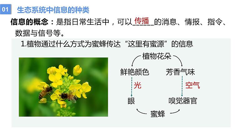 2022届高三生物一轮复习课件：生态系统的信息传递第6页