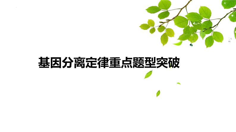 2022届高三生物一轮复习课件基因分离定律重点题型突破01