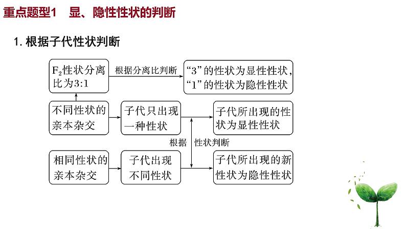 2022届高三生物一轮复习课件基因分离定律重点题型突破02