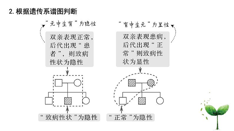 2022届高三生物一轮复习课件基因分离定律重点题型突破03