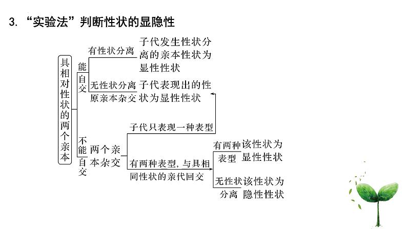 2022届高三生物一轮复习课件基因分离定律重点题型突破04