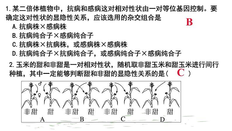 2022届高三生物一轮复习课件基因分离定律重点题型突破05