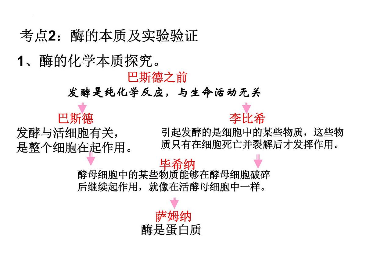 2022届高三生物一轮复习课件细胞的能量供应和利用第3页