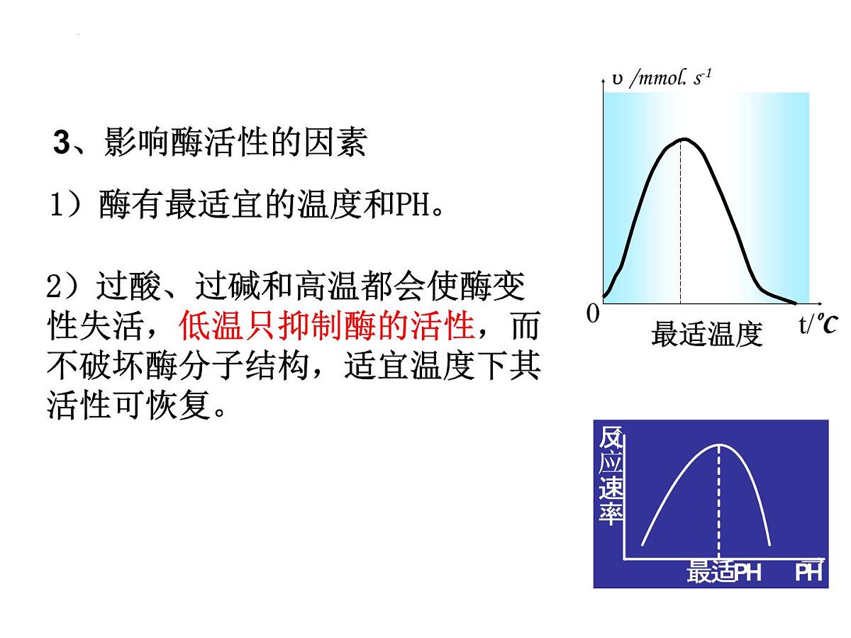 2022届高三生物一轮复习课件细胞的能量供应和利用第7页