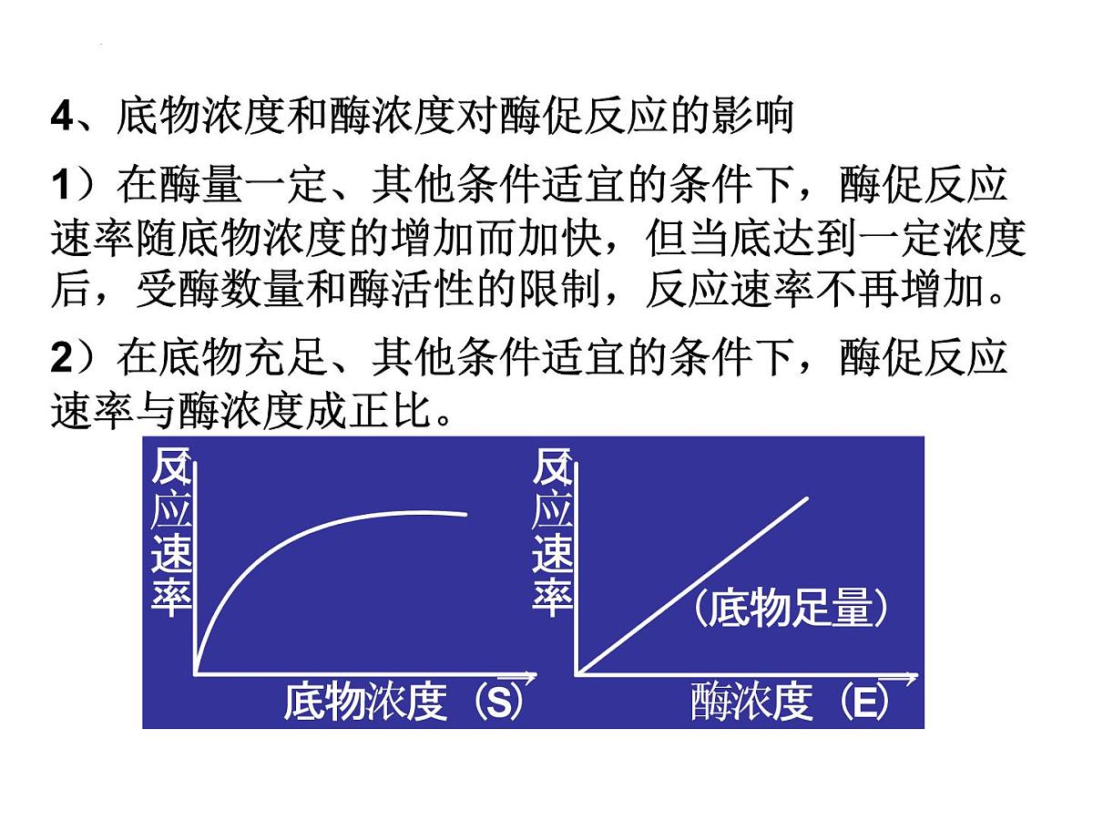 2022届高三生物一轮复习课件细胞的能量供应和利用第8页