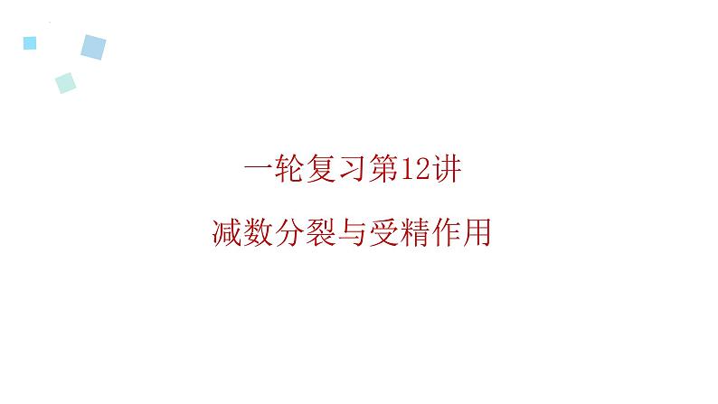 2023届高三生物一轮复习12讲　减数分裂与受精作用课件01